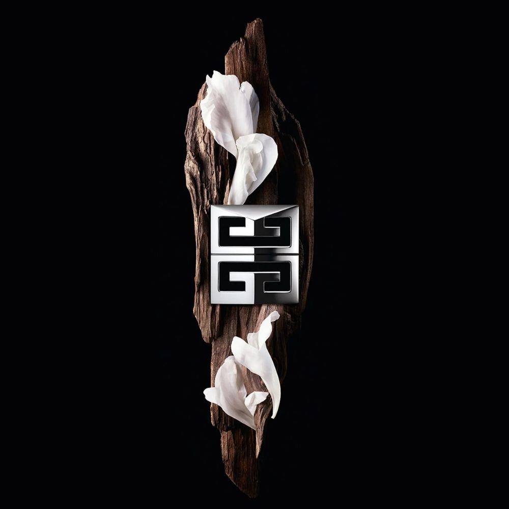 Givenchy Gentleman Society 75 ml Erkek Deostick