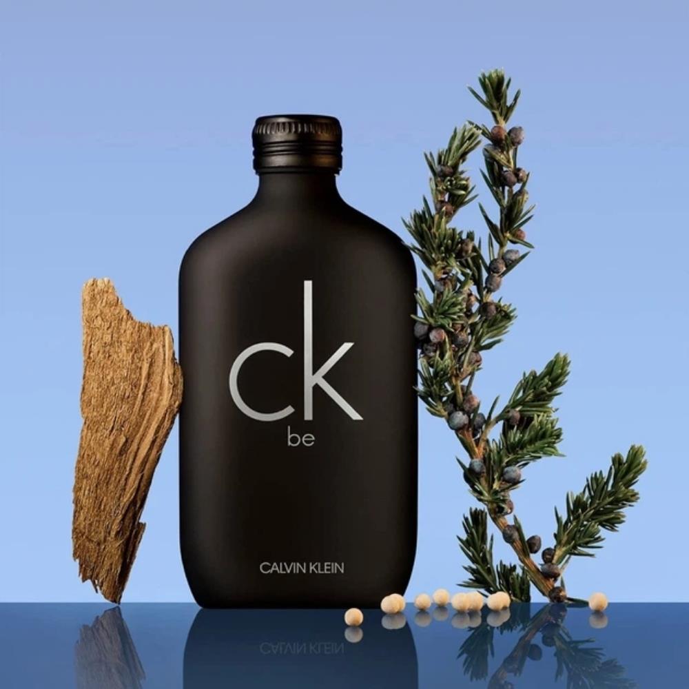 Calvin Klein Be EDT 100 ml Unisex Parfüm