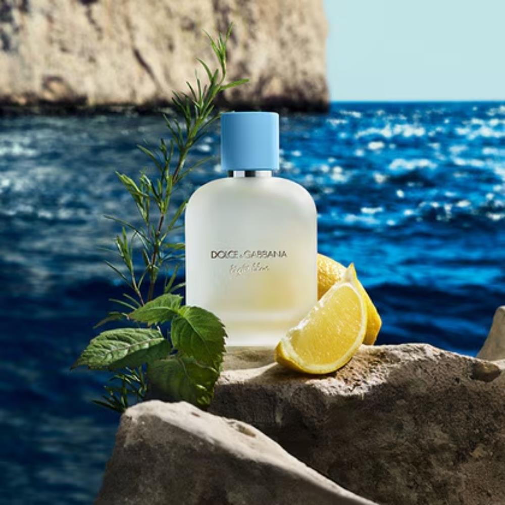 Dolce &amp; Gabbana Light Blue Pour Homme EDT 100 ml Kadın Parfümü