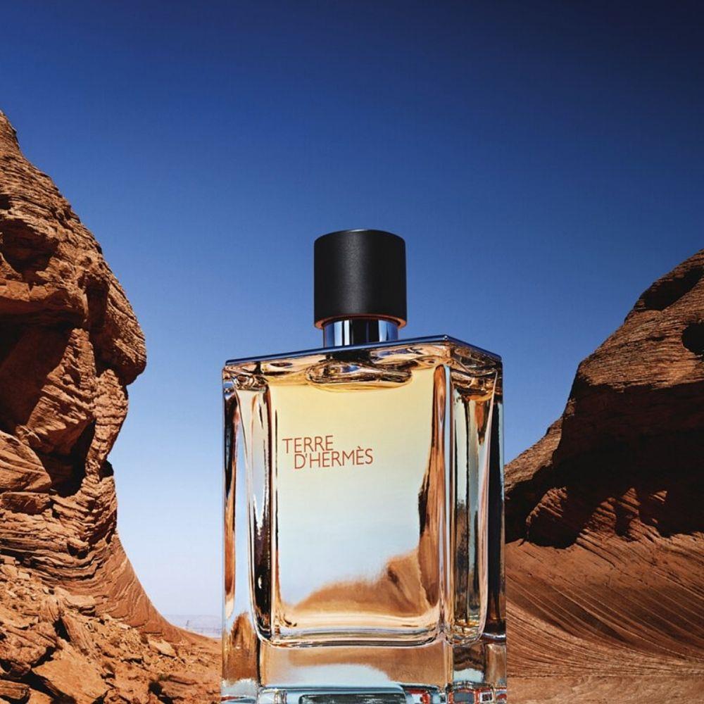 Hermes Terre D&