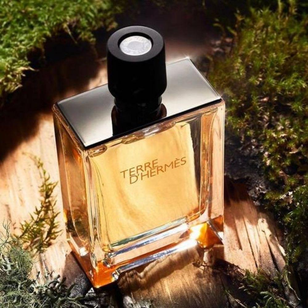 Hermes Terre D&