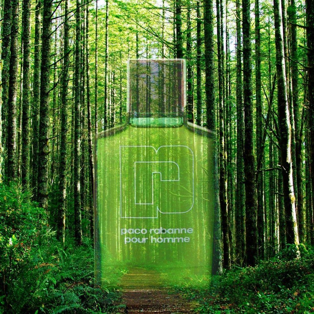 Paco Rabanne Pour Homme EDT 100 ml Erkek Parfümü
