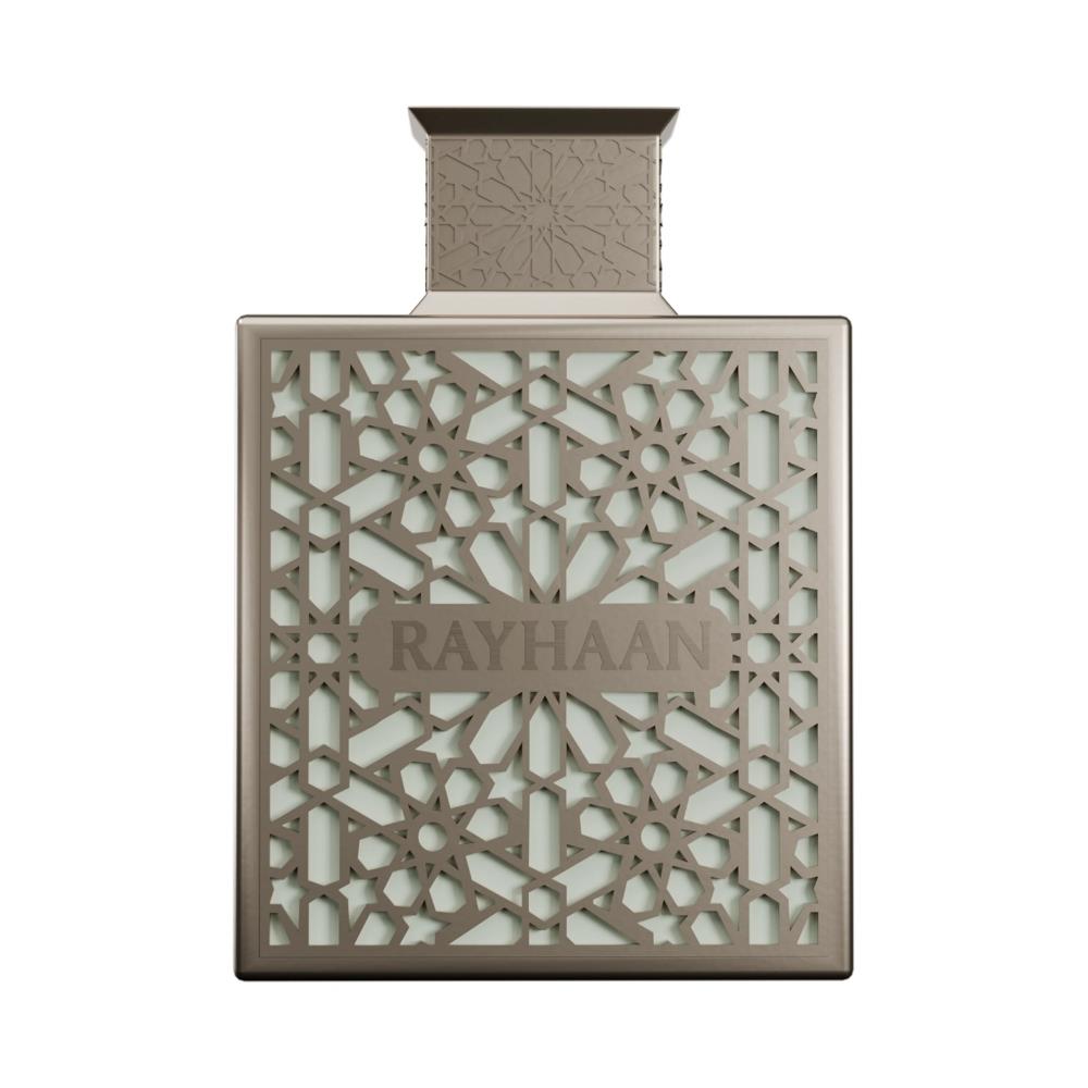 Rayhaan Terra EDP 100 ml Erkek Parfümü